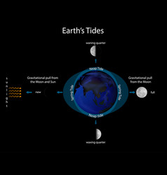 Diagram showing effect earth axis Royalty Free Vector Image