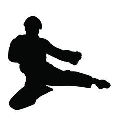 Karate master silhouette Royalty Free Vector Image