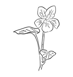 Single flower line drawing Royalty Free Vector Image