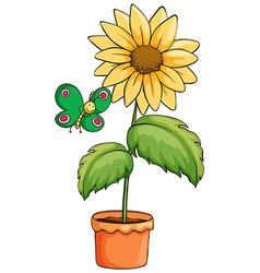 A flower inside pot Royalty Free Vector Image - VectorStock