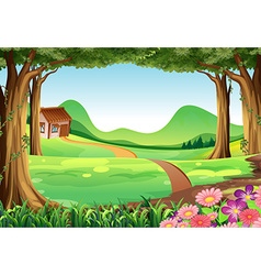 Forest background with the nature scene Royalty Free Vector