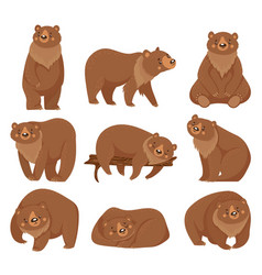 Brown bear Royalty Free Vector Image - VectorStock