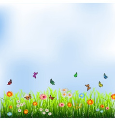 Flowers butterflies Royalty Free Vector Image - VectorStock