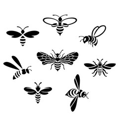 Honey bee icons Royalty Free Vector Image - VectorStock