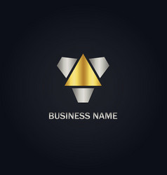 Star geometry abstract gold logo Royalty Free Vector Image