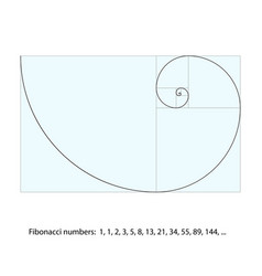 Pattern for Golden Ratio Fibonacci Geometry Vector Images (99)