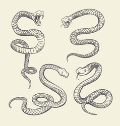 Snake Tattoo Vector Images Over 5 000