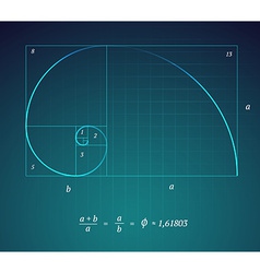 Fibonacci golden ratio Royalty Free Vector Image