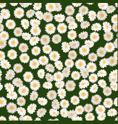 Daisy seamless pattern Royalty Free Vector Image