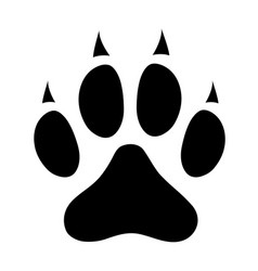 Heavy bernese mountain dog paw print flat design Vector Image