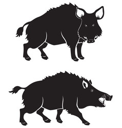 Boar Royalty Free Vector Image - VectorStock