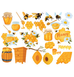 Honey set collection beekeeping cartoon Royalty Free Vector