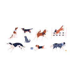 Set dogs different breed Royalty Free Vector Image
