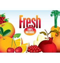 Fresh fruit Royalty Free Vector Image - VectorStock