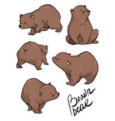 Brown bear cartoon Royalty Free Vector Image - VectorStock