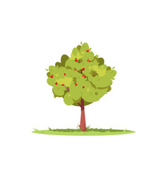 Apple Tree Clipart Vector Images Over 210