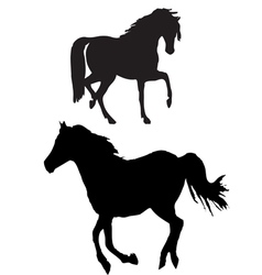 Horse Silhouette Royalty Free Vector Image - Vectorstock