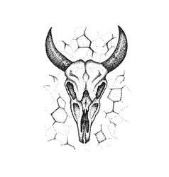 Hand drawn doodle outline cow head Royalty Free Vector Image