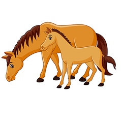 Mother And Baby Horse Cartoon Vector Images 83
