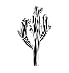 Black silhouettes of saguaro cactus Royalty Free Vector