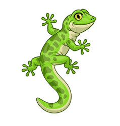 Cute character of gecko lizard Royalty Free Vector Image