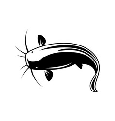Graphic catfish on white background Royalty Free Vector