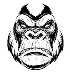 Angry gorilla head Royalty Free Vector Image - VectorStock