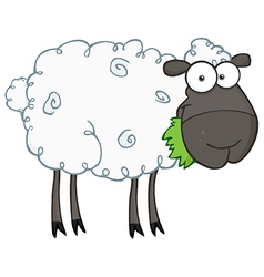 Cartoon sheep Royalty Free Vector Image - VectorStock