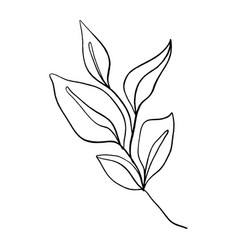 Leaf Minimalist Vector Images (over 31,000)