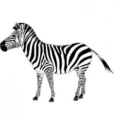 Donkey and Zebra Royalty Free Vector Image - VectorStock