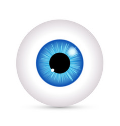 Realistic multi colored eyeball iris pupils set Vector Image