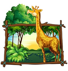 Safari Tree Vector Images (over 9,600)