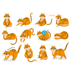 Fat cat Royalty Free Vector Image - VectorStock