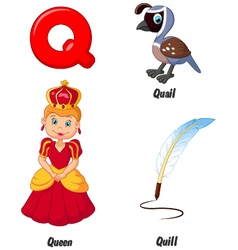 Alphabet Q with quail cartoon Royalty Free Vector Image