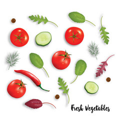 Fresh vegetables salad Royalty Free Vector Image