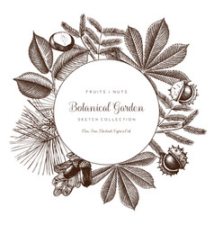 Vintage frame with botanical elements Royalty Free Vector