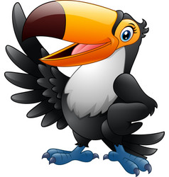 Cartoon funny toucan waving wing isolated on white