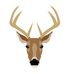 Stag Deer Front Facing Vector Images 22