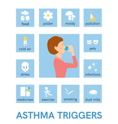 Asthma triggers flat icons Royalty Free Vector Image