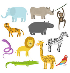 Baby Jungle Animals With Cute Eyes Royalty Free Vector Image