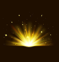 Sunlight isolated golden sun rays radiance Vector Image