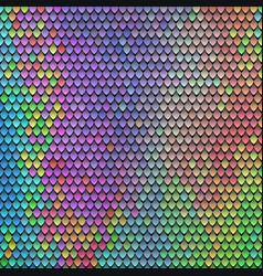 Abstract scale pattern color squama texture Vector Image