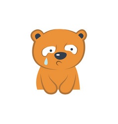Sad frightened bear cub is crying concept of Vector Image