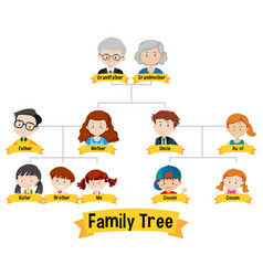 Diagram showing three generation family tree Vector Image