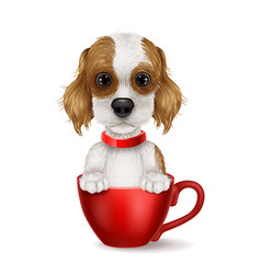 Cartoon cute dog wearing a red collar Royalty Free Vector