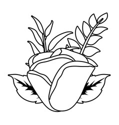 Floral tropical cartoon in black and white Vector Image