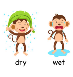 Opposite adjectives dry and wet Royalty Free Vector Image