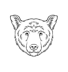 Black and white sketch of bulldog dogs head face Vector Image