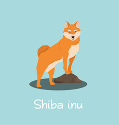 Featured image of post Shiba Inu Cartoon Wallpaper A lovely shiba inu dog