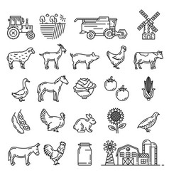 Cattle farm animals and agriculture harvesting Vector Image